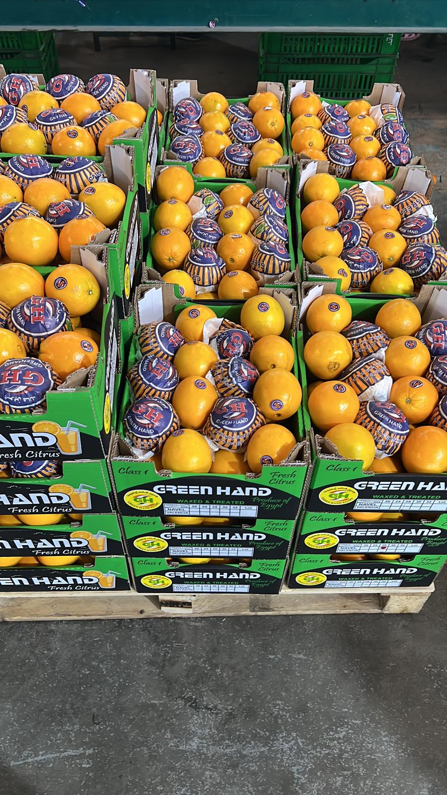 Fresh Oranges